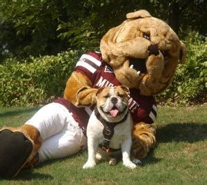 Why Jak the MSU Bulldog Mascot is More Than Just a Cute Face: His Impact on Student Life